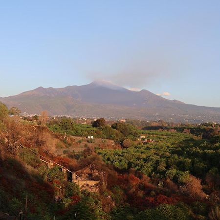 Il Pampaleone Glamping And Resort Acireale Exterior foto